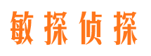 商丘侦探公司